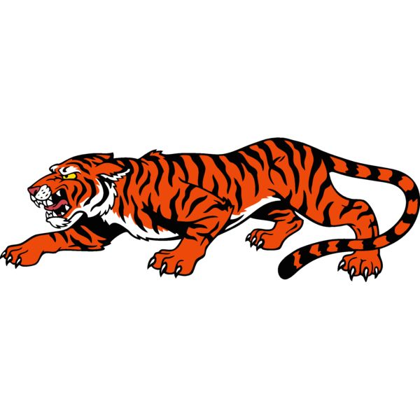 es2tiger002clr Thumbnail