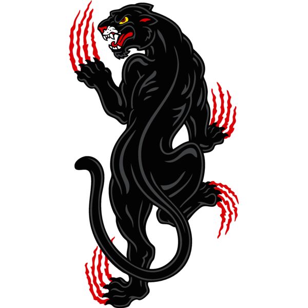 espantherp1clr Thumbnail