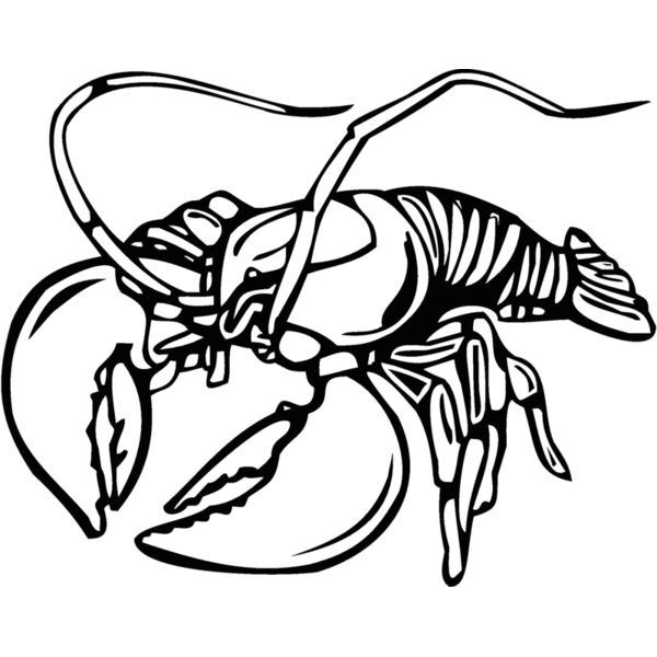 lobster3 Thumbnail