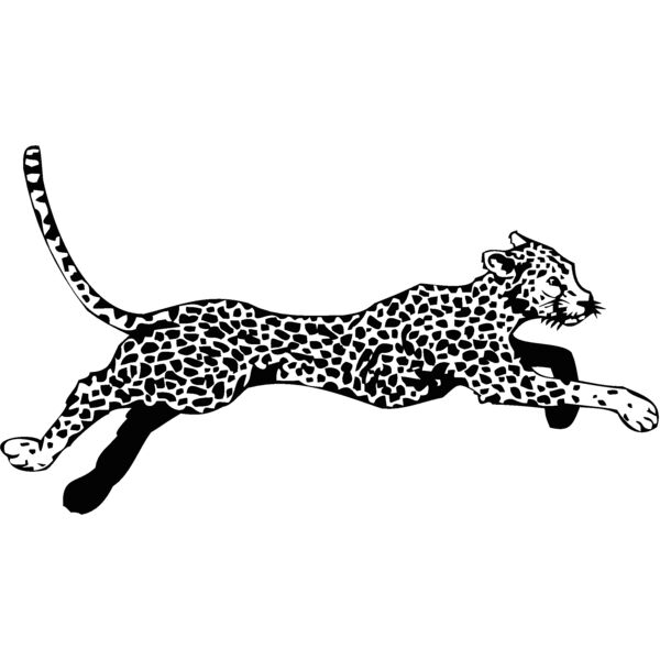cheetah Thumbnail