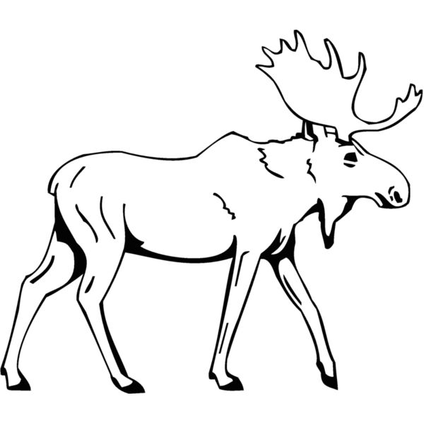 moose4 Thumbnail