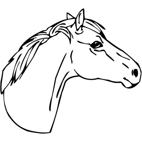 horsehead05 Thumbnail