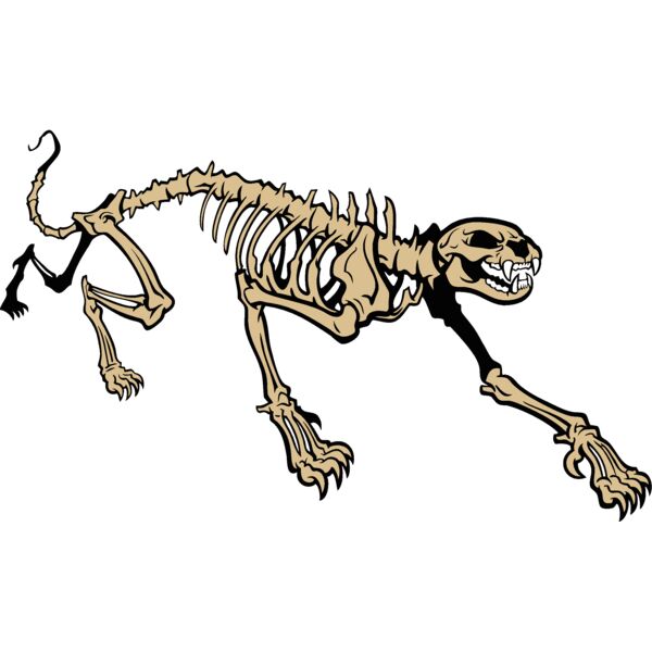 cougarpantherskeleton Thumbnail