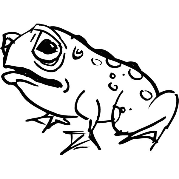 frog1 Thumbnail