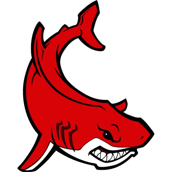 shark02v4clr Thumbnail