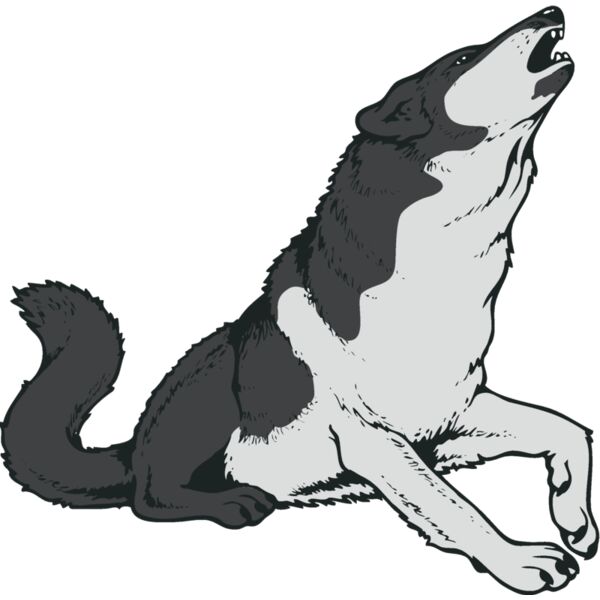 wolf06v4clr Thumbnail