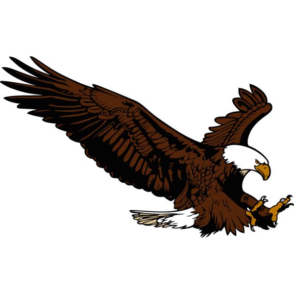 eagle15v4clr Thumbnail