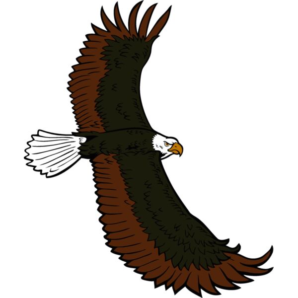 eagle05v4clr Thumbnail