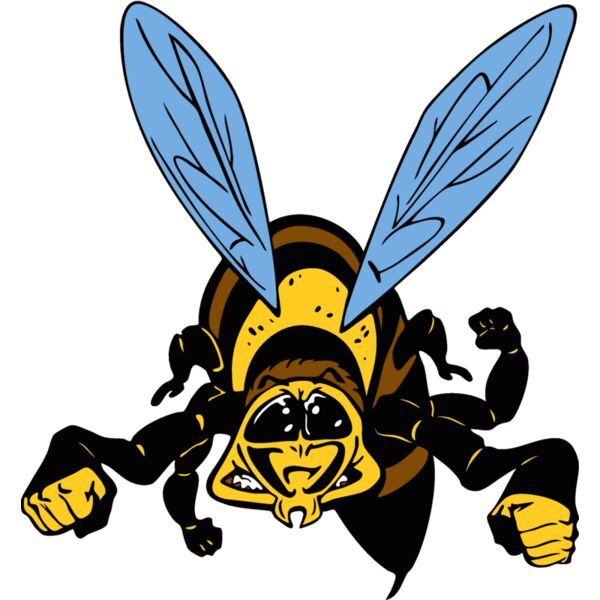 waspmsct01 Thumbnail