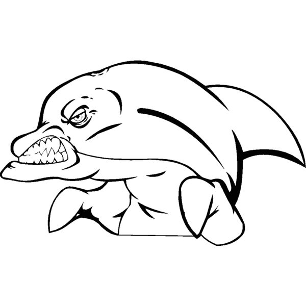 dolphin404 Thumbnail