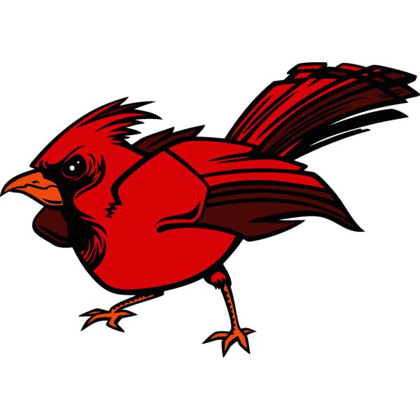 cardinal03v4clr Thumbnail