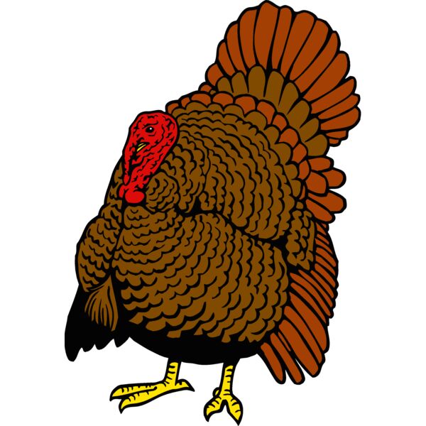 gameturkey Thumbnail